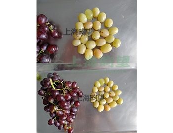 葡萄蒸汽去皮效果展示